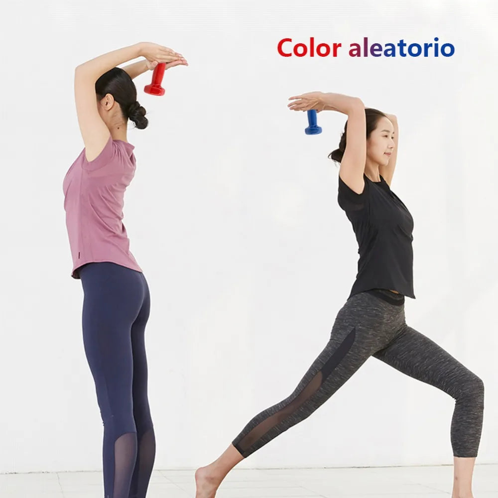 2kg 2.5kg 3kg Fitness Dumbbell Set Non-Slip Dumbbells