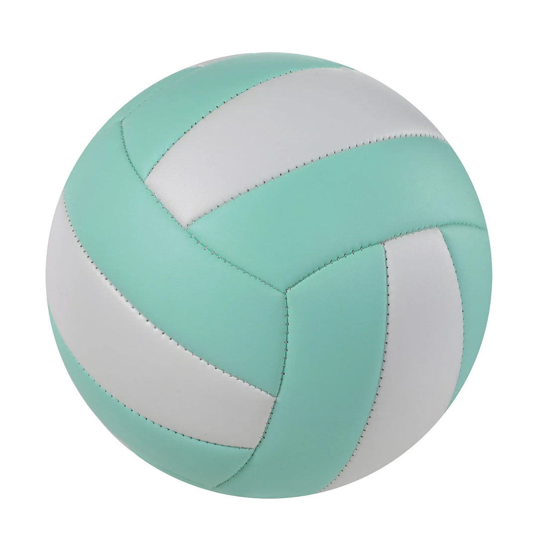 Size 5 Soft-Touch Training Volleyball
