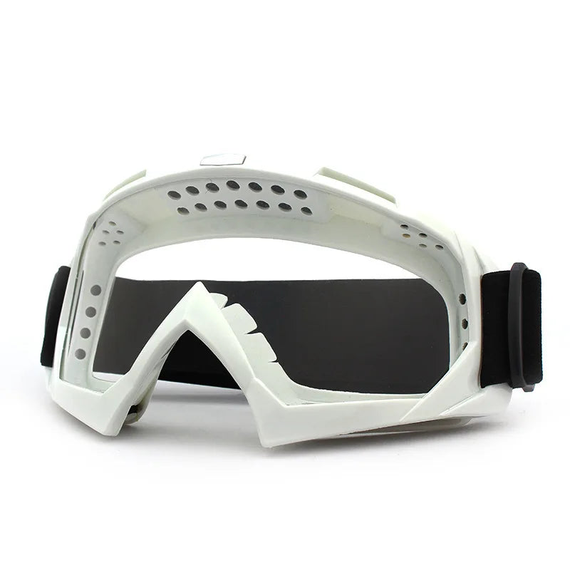Windproof Anti-Fog Ski and Motorcycle Goggles